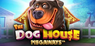 Снимок (2).PNG